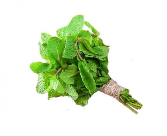 Mint Leaves - पुदीना