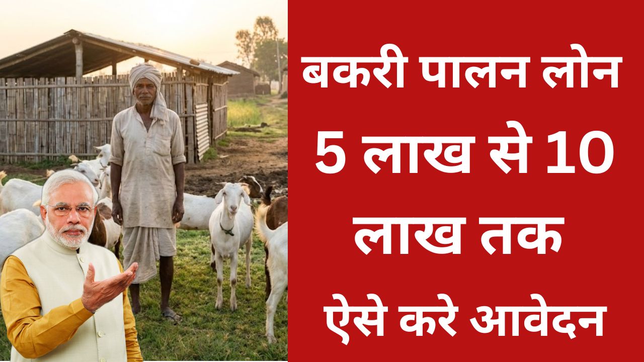 Bakri Palan Business Loan